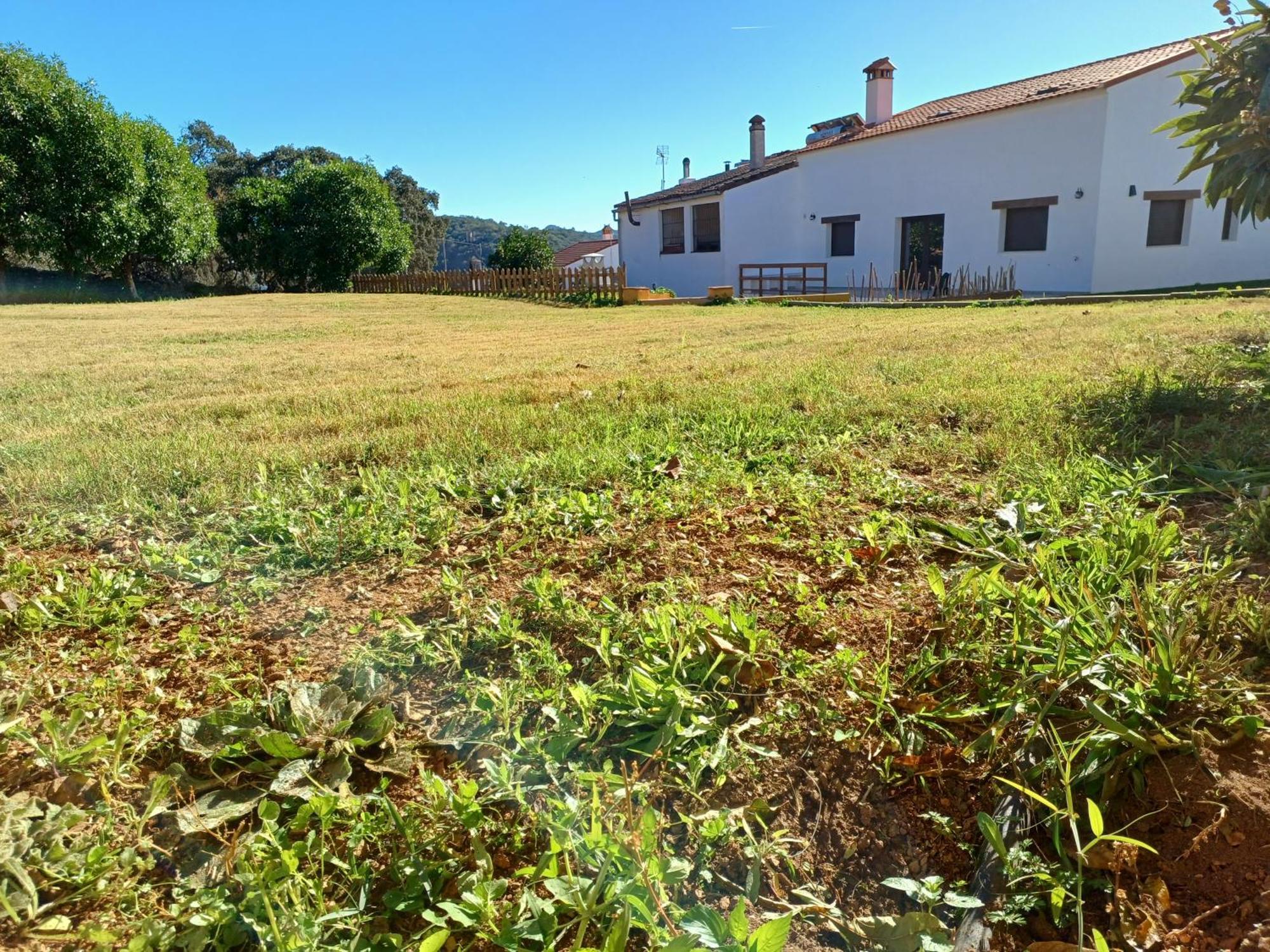 Villa El Pico De Aroche Exterior foto
